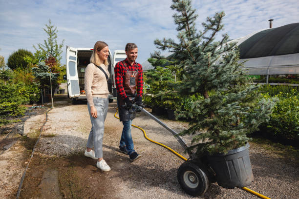 Best Organic Lawn Care Solutions  in Byers, CO