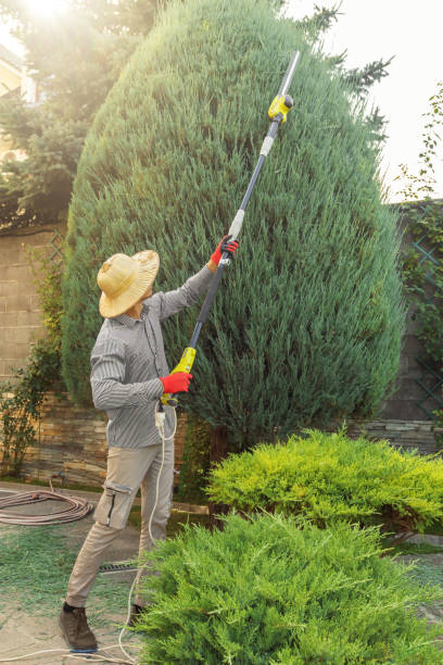 Best Landscape Design and Installation  in Byers, CO